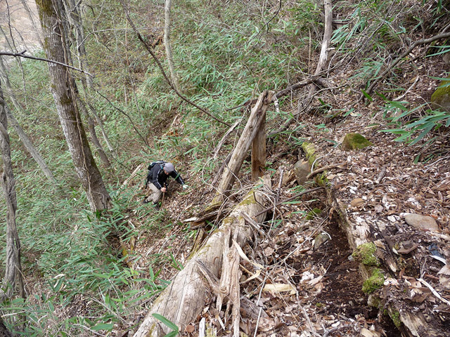 �J�c�X�ѓS��,��5���V��,�؋�