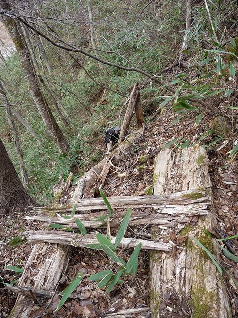 �J�c�X�ѓS��,��5���V��,�؋�