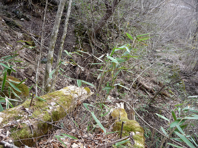 �J�c�X�ѓS��,��5���V��,�؋�