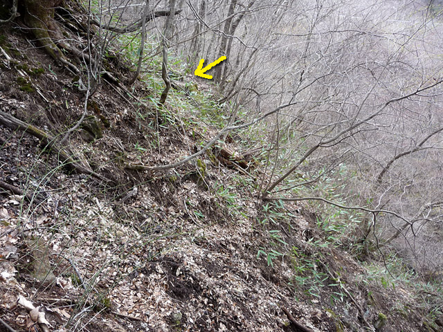 �����X�ѓS��,��5���V��,�ؑ���