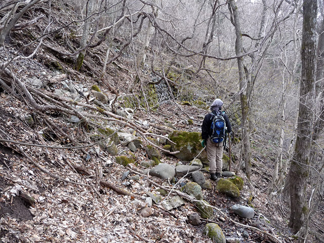 �J�c�X�ѓS���u��5���V���[���m���v