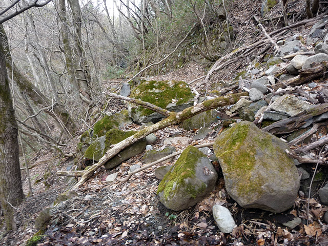 �J�c�X�ѓS���u��5���V���[���m���v