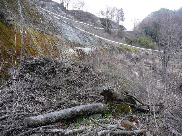 �����X�ыO���u��5���V���[���m���v