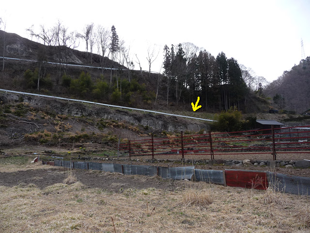 �J�c�X�ѓS���u���m���[��7���V���v