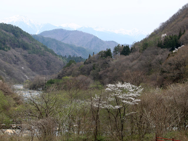 �J�c�X�ѓS���u���m���[��7���V���v