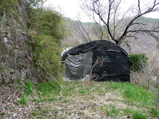 �����X�ыO���u���m���[��7���V���v