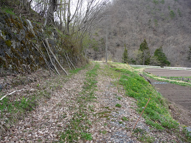 �J�c�X�ѓS���u��6���V���[��7���V���v