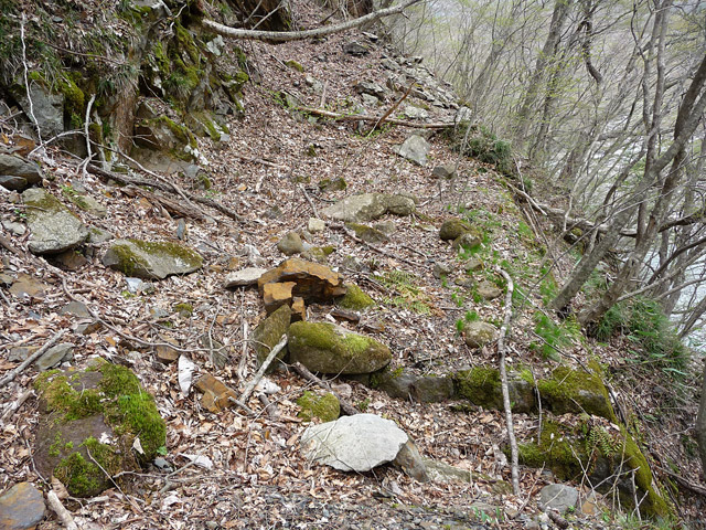 �J�c�X�ѓS���u��6���V���[��7���V���v