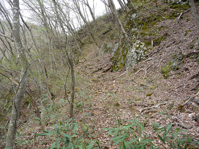 �J�c�X�ѓS���u��6���V���[��7���V���v