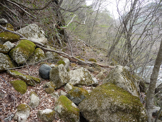 �J�c�X�ѓS���u��6���V���[��7���V���v