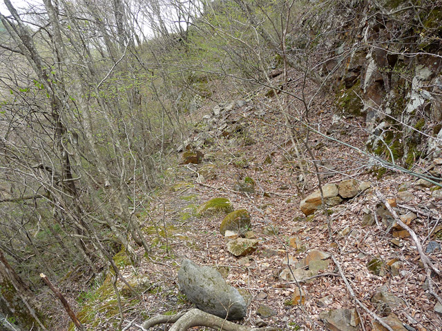 �J�c�X�ѓS���u��6���V���[��7���V���v