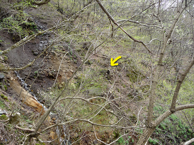 �J�c�X�ѓS��,�����X�ыO��,��7���V��,�؋�