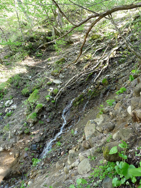 �J�c�X�ѓS��,�����X�ыO��,��7���V��,�؋�