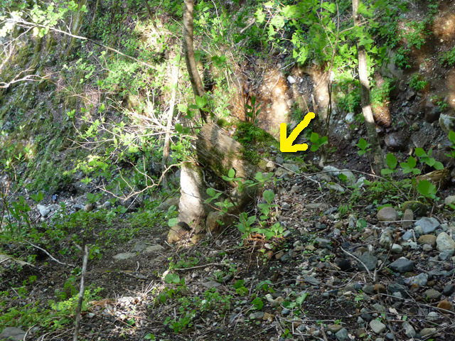 �J�c�X�ѓS��,�����X�ыO��,��7���V��,�؋�