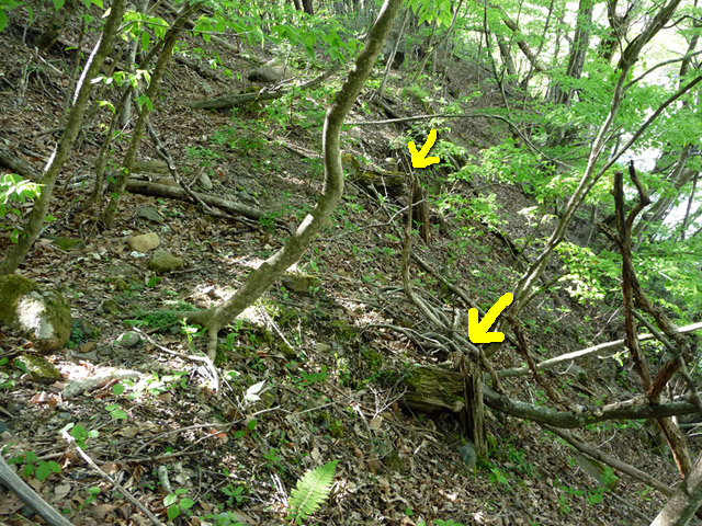 �J�c�X�ѓS���u���m���[��7���V���v