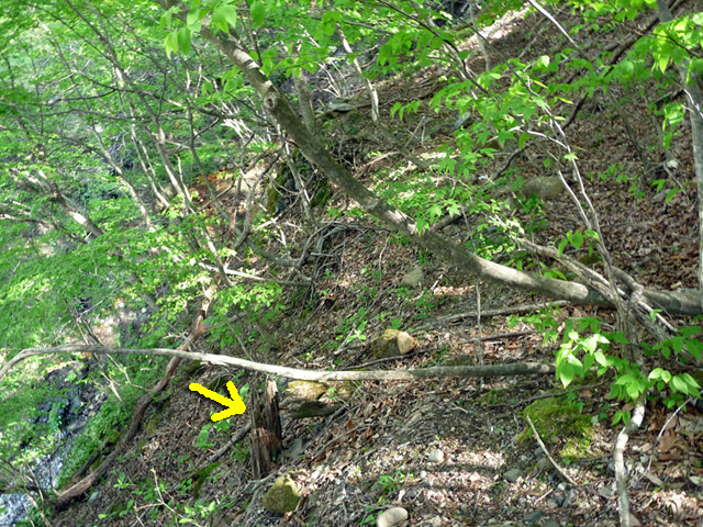 �J�c�X�ѓS���u���m���[��7���V���v