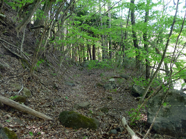 �J�c�X�ѓS���u���m���[��7���V���v