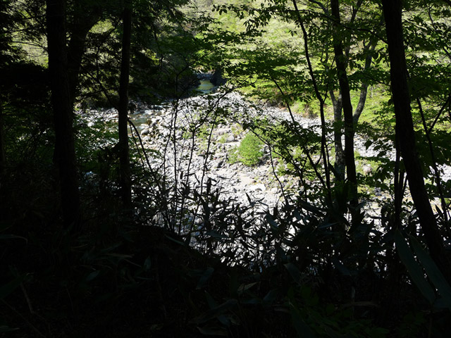 �J�c�X�ѓS���u���m���[��7���V���v