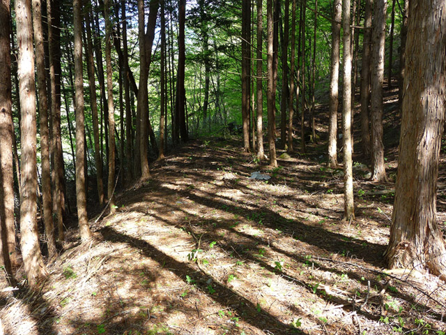 �J�c�X�ѓS���u��7���V���[�����������v