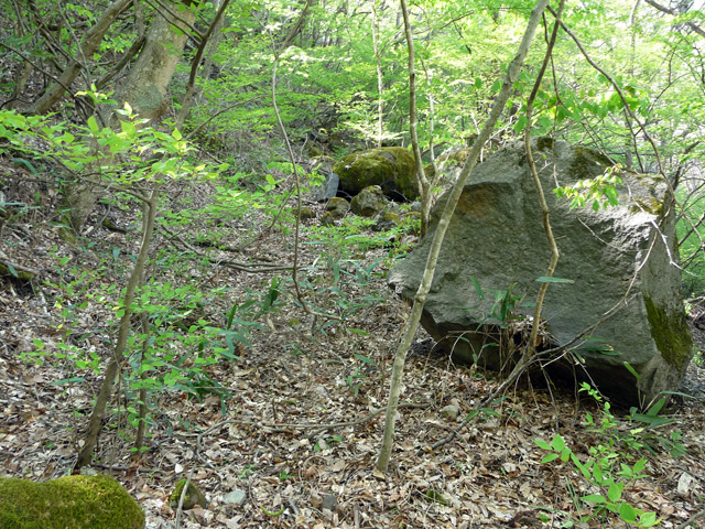 �J�c�X�ѓS���u��7���V���[�����������v