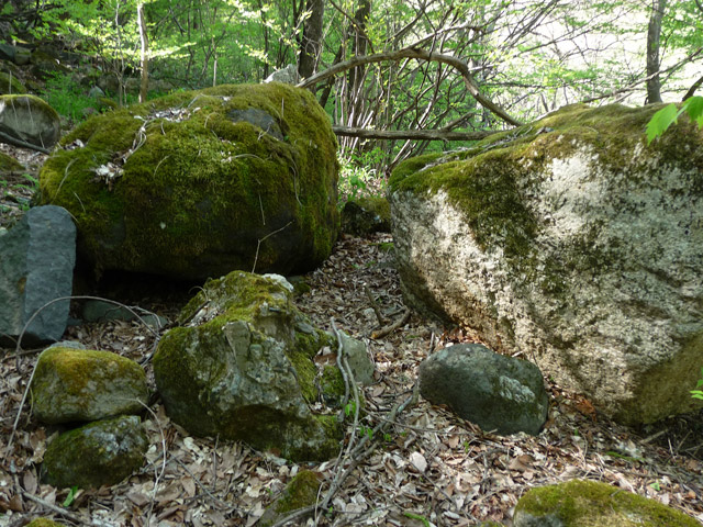 �J�c�X�ѓS���u��7���V���[�����������v