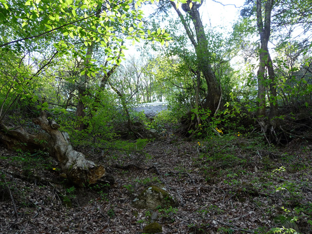 �J�c�X�ѓS���u��7���V���[�����������v