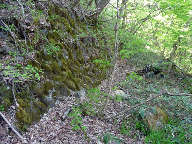 �J�c�X�ѓS���u��7���V���[�����������v