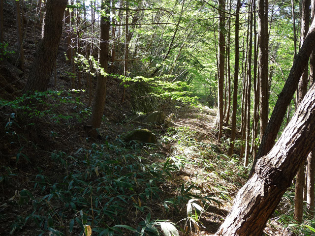 �J�c�X�ѓS���u��7���V���[�����������v