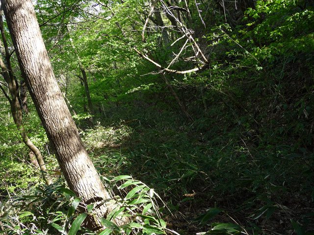 �J�c�X�ѓS���u��7���V���[�����������v