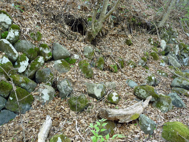 �J�c�X�ѓS���u��7���V���[�����������v