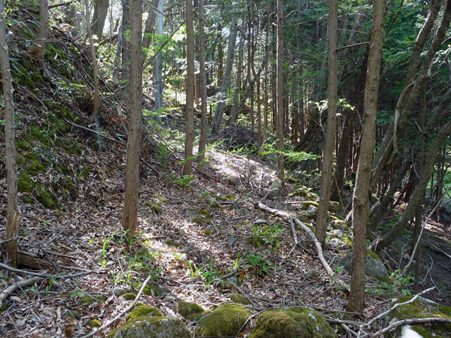 �J�c�X�ѓS���u��7���V���[�����������v