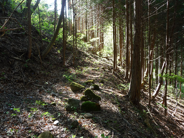 �J�c�X�ѓS���u��7���V���[�����������v