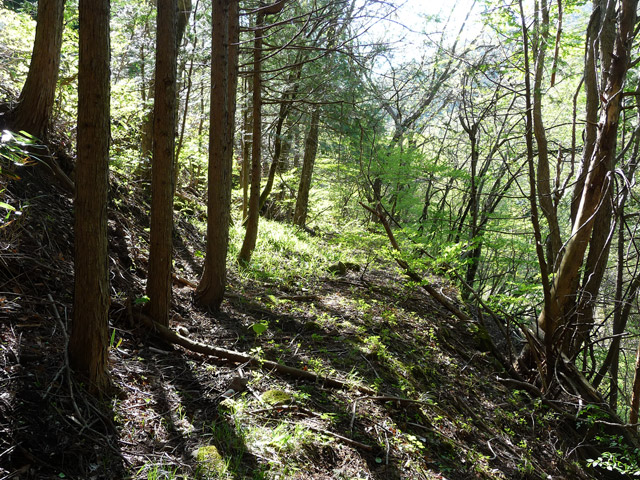 �J�c�X�ѓS���u��7���V���[�����������v