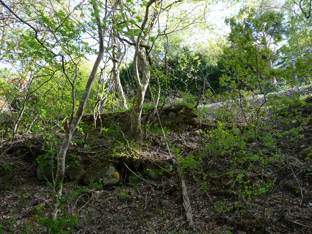 �J�c�X�ѓS���u��7���V���[�����������v