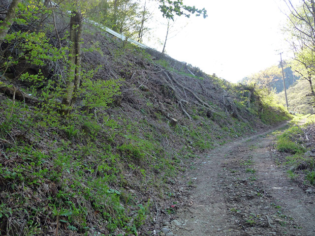 �J�c�X�ѓS���u��7���V���[�����������v