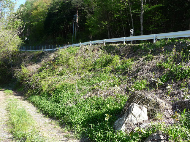 �J�c�X�ѓS���u��7���V���[�����������v