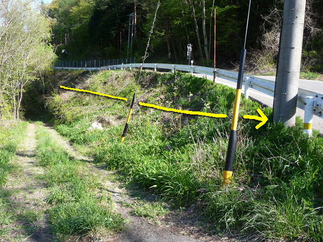 �J�c�X�ѓS���u��7���V���[�����������v