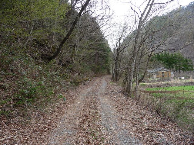 �J�c�X�ѓS��,�����X�ѓS��,�ѓS,�p����