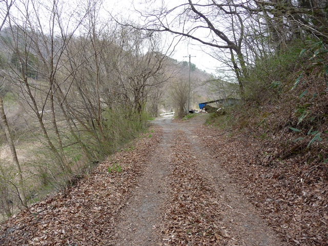 �J�c�X�ѓS��,�����X�ѓS��,�ѓS,�p����