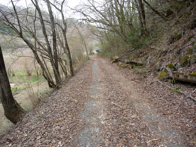 �J�c�X�ѓS��,�����X�ѓS��,�ѓS,�p����