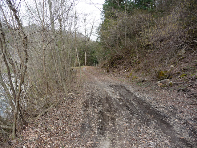 �J�c�X�ѓS���u�����������[���싴���v