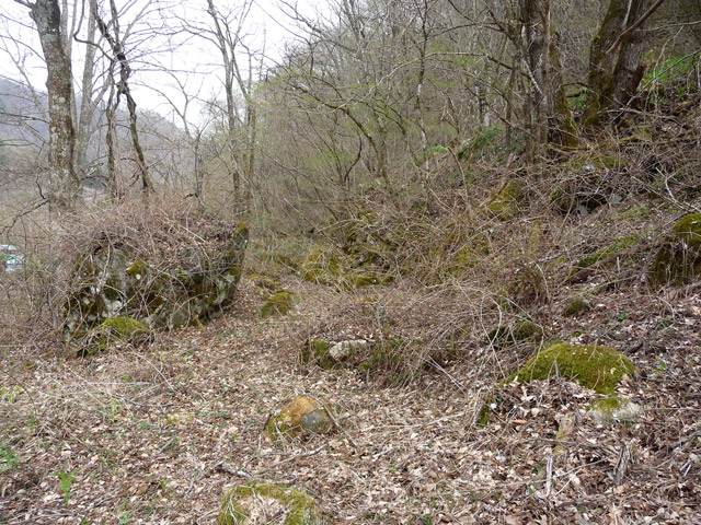 �J�c�ѓS�u�����������[���싴���v