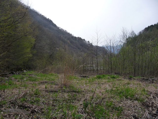 �J�c�ѓS�u�����������[���싴���v