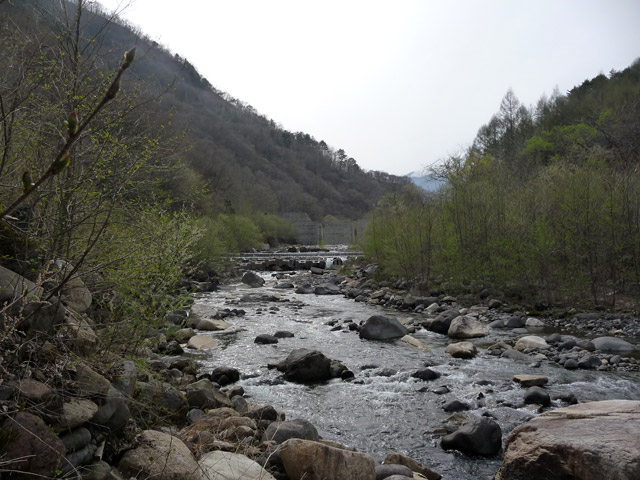 �J�c�ѓS�u�����������[���싴���v