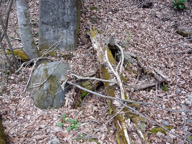 �ؑ]�X�ѓS���J�c��,�X�ѓS��,�ѓS,�p����,���싴��,�؋�