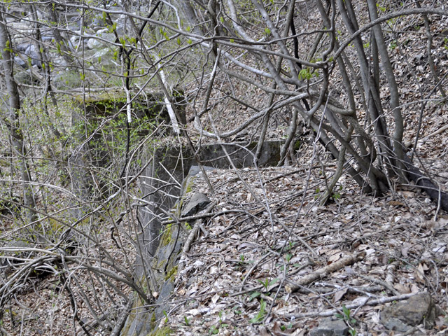 �J�c�X�ѓS��,�ѓS,�p����,���싴��,�؋�