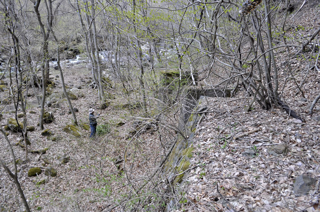 �J�c�X�ѓS��,�ѓS,�p����,���싴��,�؋�