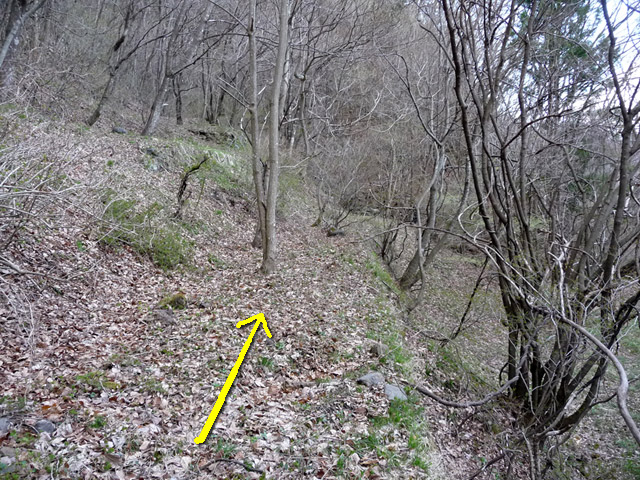 �J�c�X�ѓS��,�����X�ыO��,�ѓS,�p����