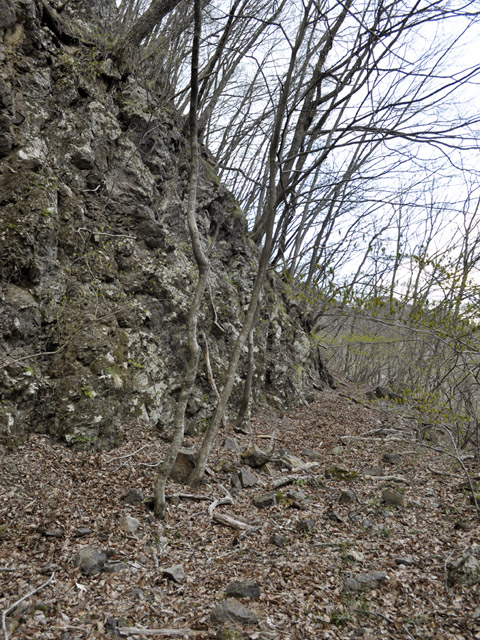 �J�c�X�ѓS��,�����X�ыO��,�p����,����,,�ѓS