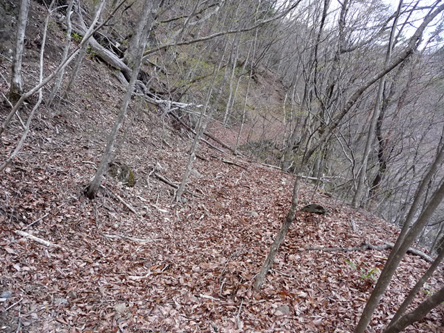 �J�c�X�ѓS��,�����X�ыO��,�p����,�ؑ]�X,,�ѓS